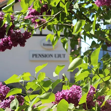 Han/Misafirhane Ujut 2*